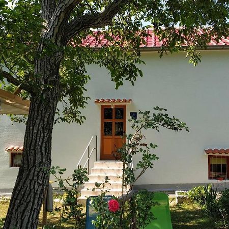 Flora Apartment Drivenik Екстериор снимка