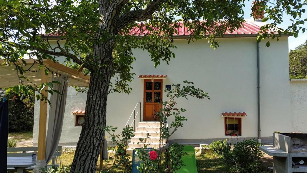 Flora Apartment Drivenik Екстериор снимка